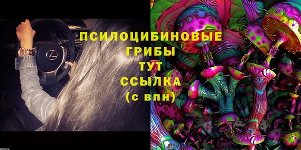 прущие грибы Нея