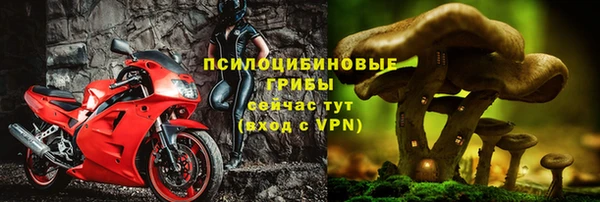 каннабис Алексеевка