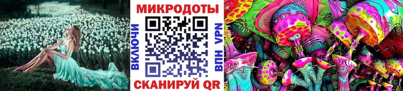 Галлюциногенные грибы мухоморы  Кириши 