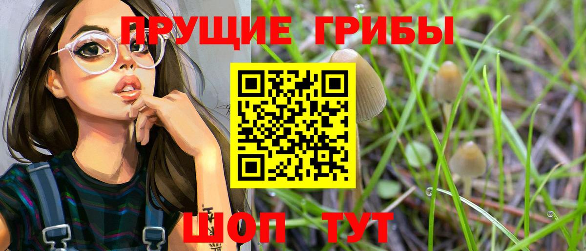 Галлюциногенные грибы GOLDEN TEACHER Кириши